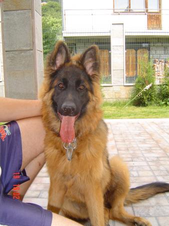 Прикачена снимка