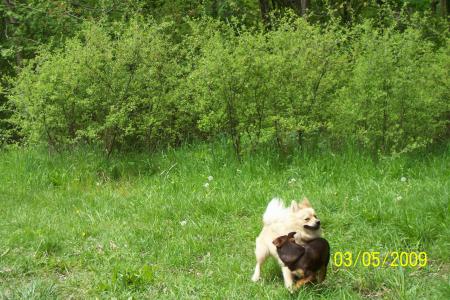 Прикачена снимка