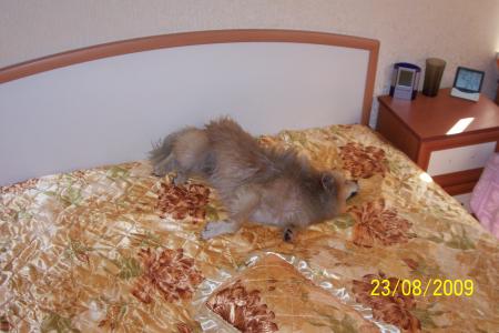 Прикачена снимка