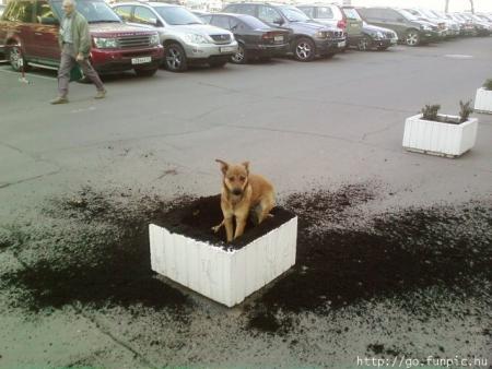 Прикачена снимка