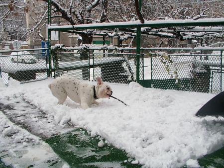 Прикачена снимка