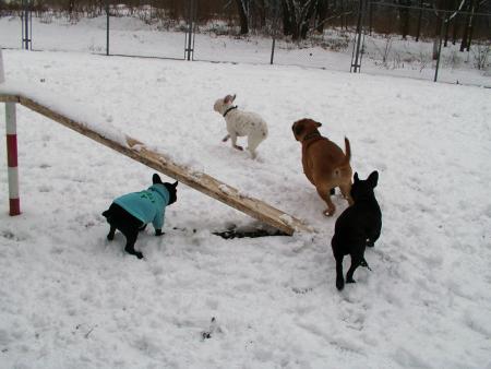 Прикачена снимка
