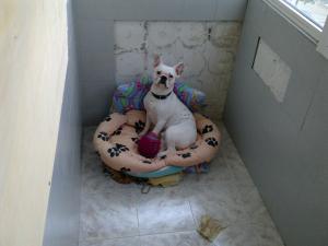 Прикачена снимка