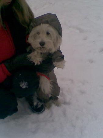 Прикачена снимка