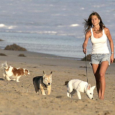 Прикачена снимка