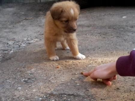 Прикачена снимка