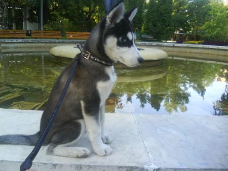 Прикачена снимка