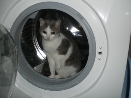 Прикачена снимка