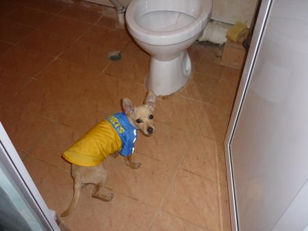 Прикачена снимка