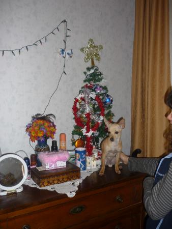 Прикачена снимка