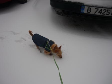 Прикачена снимка