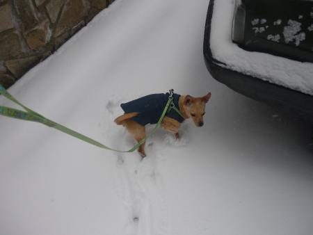 Прикачена снимка