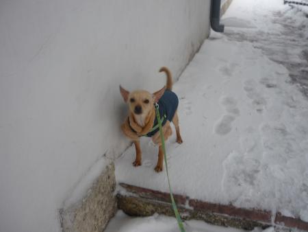 Прикачена снимка