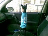 Прикачена снимка
