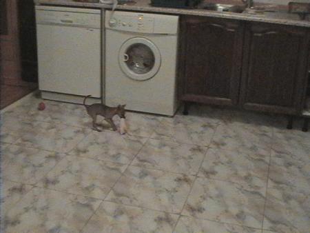 Прикачена снимка