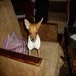 Прикачена снимка
