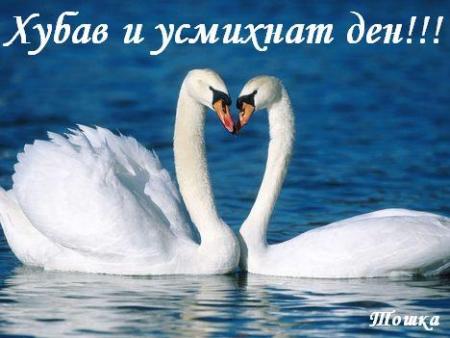 Прикачена снимка