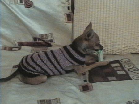Прикачена снимка