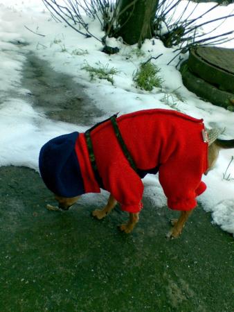Прикачена снимка
