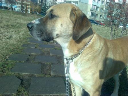 Прикачена снимка