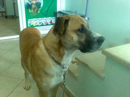 Прикачена снимка