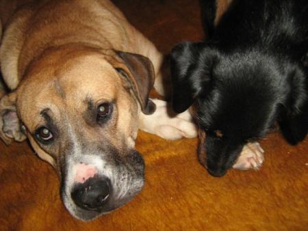 Прикачена снимка