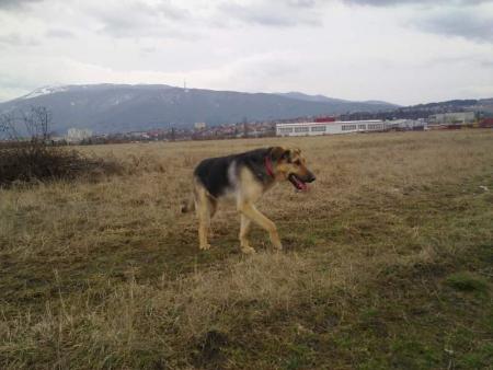 Прикачена снимка