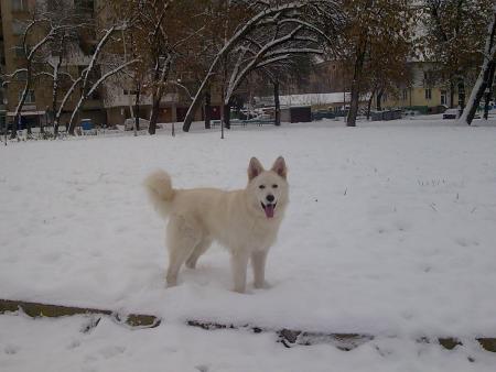 Прикачена снимка