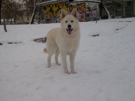 Прикачена снимка