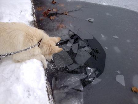 Прикачена снимка