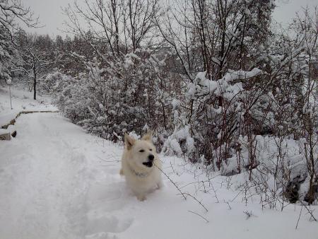 Прикачена снимка