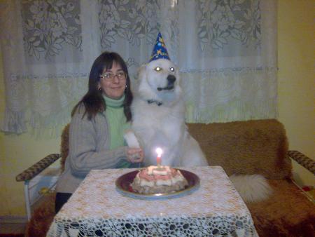 Прикачена снимка