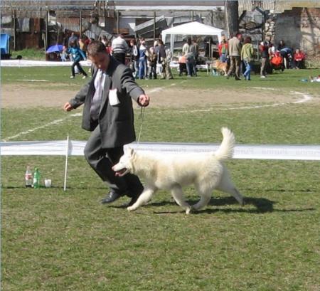 Прикачена снимка