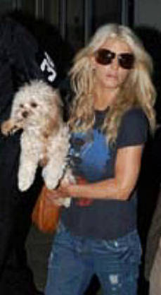 Прикачена снимка