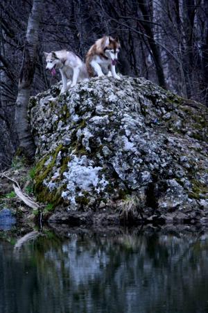 Прикачена снимка