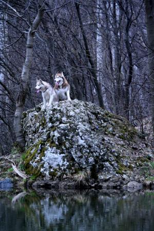 Прикачена снимка