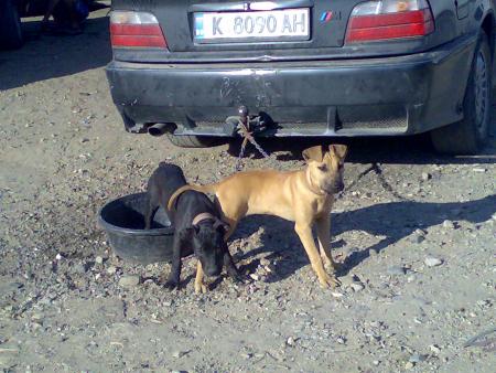 Прикачена снимка