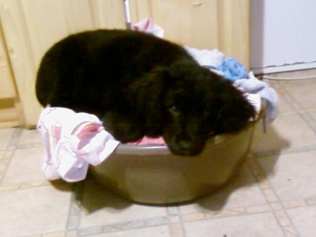 Прикачена снимка