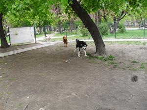 Прикачена снимка