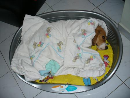 Прикачена снимка