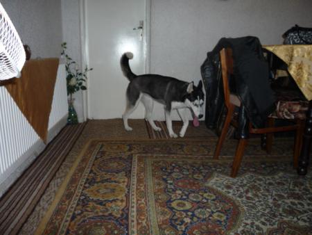 Прикачена снимка