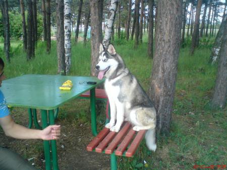 Прикачена снимка