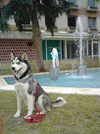Прикачена снимка