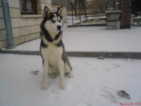 Прикачена снимка