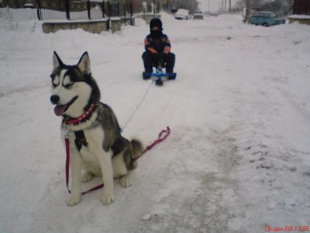 Прикачена снимка