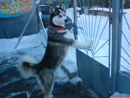 Прикачена снимка