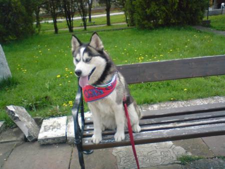 Прикачена снимка