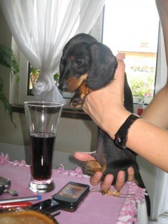 Прикачена снимка