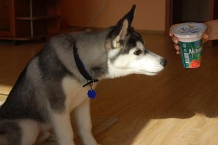 Прикачена снимка