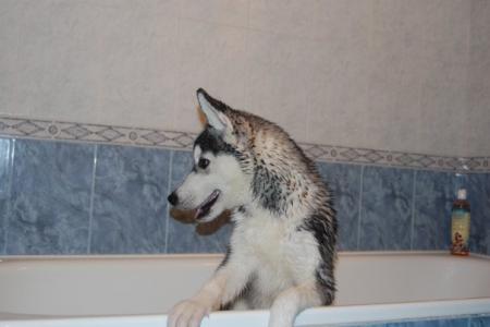 Прикачена снимка